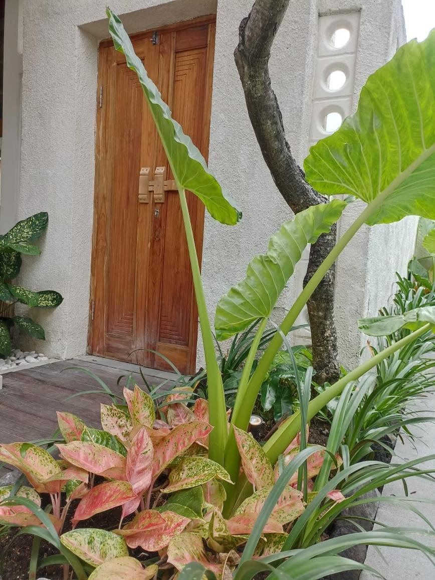 Villa Juanjo Sanur (Bali)